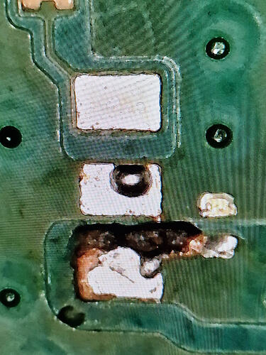 WhatsApp Image 2026-03-24 at 21.11.59