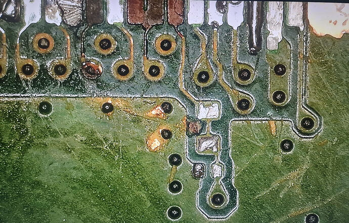 WhatsApp Image 2026-03-31 at 15.56.11