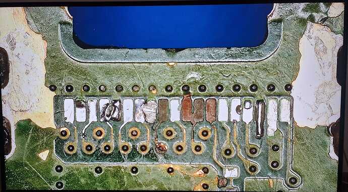 WhatsApp Image 2026-03-31 at 15.02.16