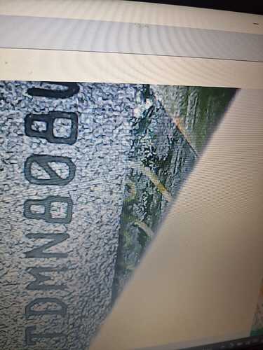 WhatsApp Image 2026-02-07 at 16.39.07 (1)