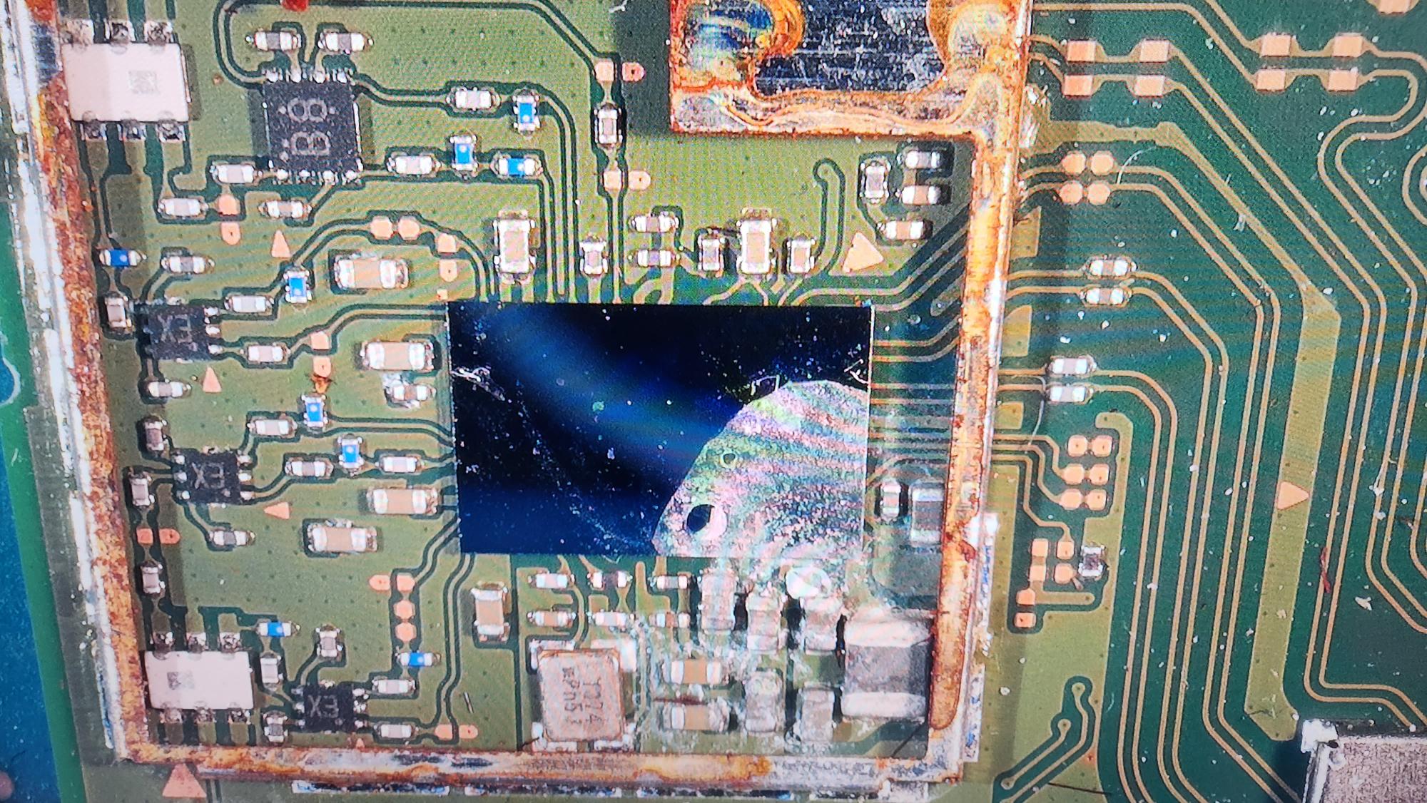 Water damaged Switch White screen lockup Nintendo Switch TronicsFix