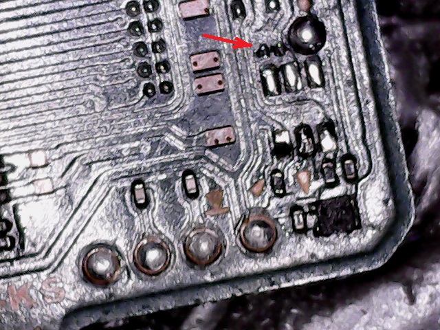 Photo-1(1)
